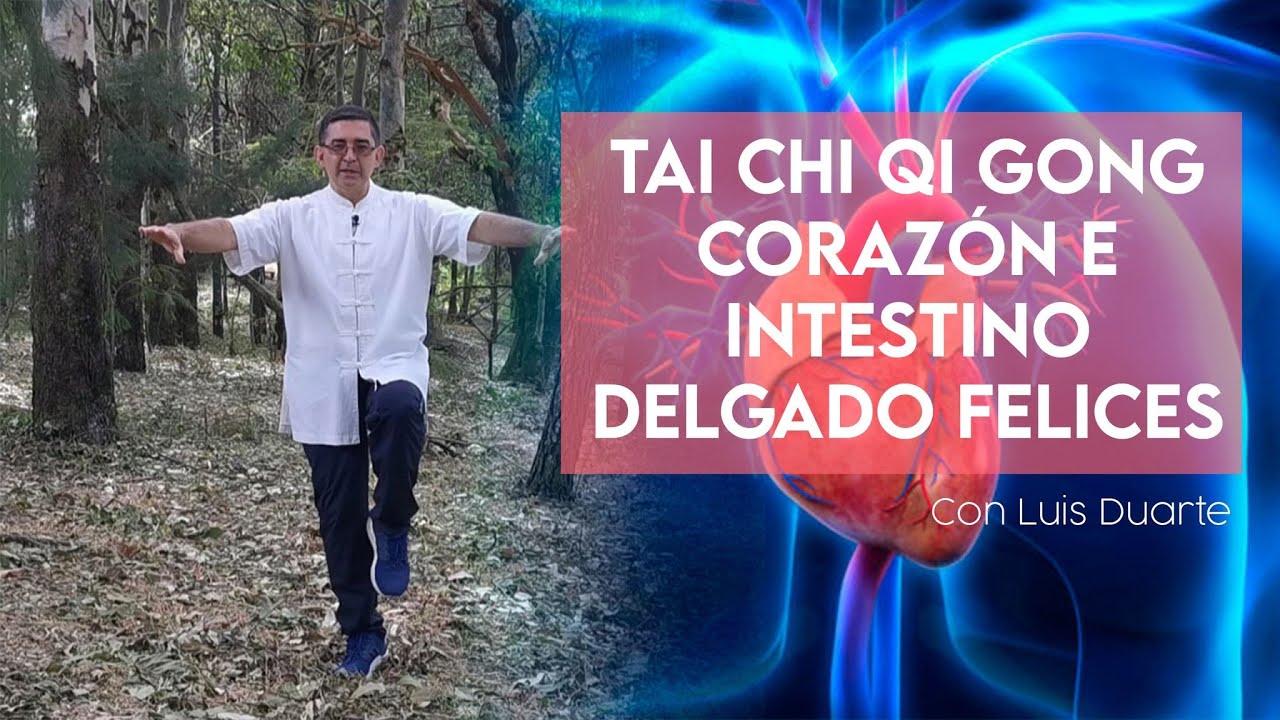 NUEVO TUTORIAL! Tai Chi Qi Gong para REVITALIZAR tus órganos - Clase 4 (CORAZON - INTESTINO DELGADO)