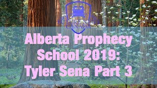 APS 2019: The U.S. Constitution Part 3 - Tyler Sena