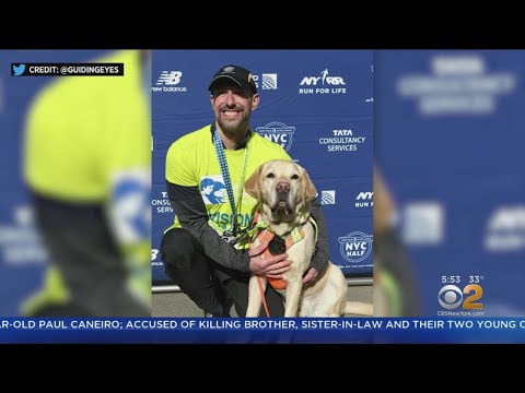 Video: Pirmasis aklas žmogus, turintis užbaigti NYC pusmaratoną, baigia lenktynes su 3 gido šunimis