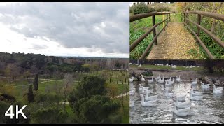 Walking tour 2022 Madrid Parque el soto de Móstoles