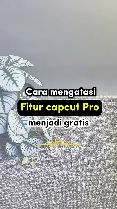 Cara download capcut versi lama yang masih gratis Sebelum fitur capcut pro semua