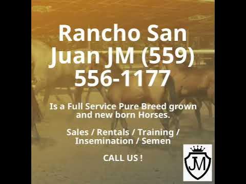 Rancho San Juan JM (559) 556-1177 - YouTube