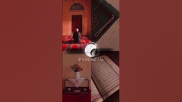 عبد الرحمن مسعد ❤️‍🩹 تلاوه رائعه 🥹 القرآن الكريم راحة نفسية ❤️‍🩹 صلي على رسول الله 🌺🌸