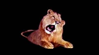 Leo The Lion Footage (1995)