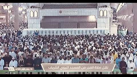 ' فواتح سورة الفتح  ١ - ١٦  ' الشيخ #عبدالمحسن_القاسم صلاة الفجر  ٦-٥-١٤٤٥ هـ