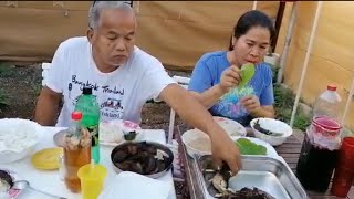 Kain Tayo! Inihaw na Hito at Baboy na may kasamang burong isda, talbos ng kamote at mustasa