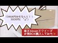 【開封動画】楽天スクイーズお得BOX購入してみた