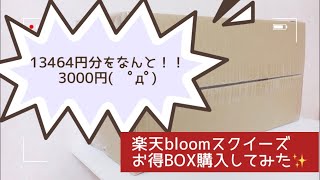 【開封動画】楽天スクイーズお得BOX購入してみた