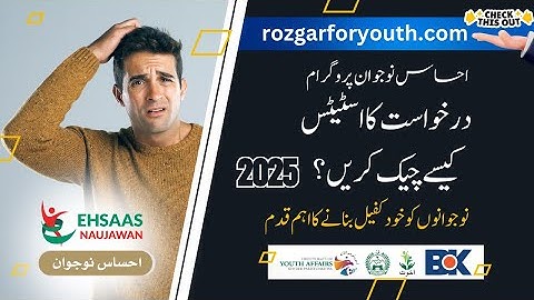 How to Check Your Ehsaas Naujawan Application Status | Step-by-Step Guide | Interest-Free Loans 2025