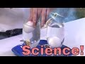 Physics Experiment with Density - Floating Eggs!  Learn about buoyancy, why things float, and more!