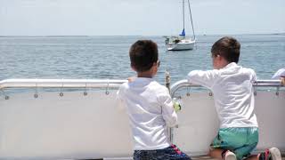 Cayo Costa State Park Half-Day Beach & Shelling Trip with Captiva Cruises
