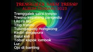 TRENGGALEK SAKSI TRESNO FULL ALBUM 2023