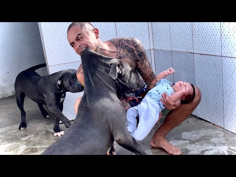 Video: La experiencia sentida de un hombre con los perros guía cambió su vida para siempre