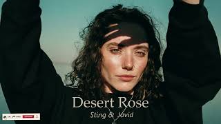 Sting - Desert Rose (Javid Remix 2025)