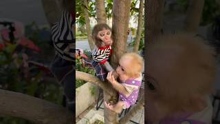 #monkey #viral #animals #funny #trendingshorts #smart #cutebaby #memes #viralshorts #shorts