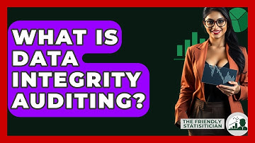 What Is Data Integrity Auditing? - The Friendly Statistician