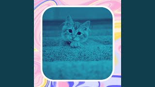 Awesome Moods for Lush Kittens