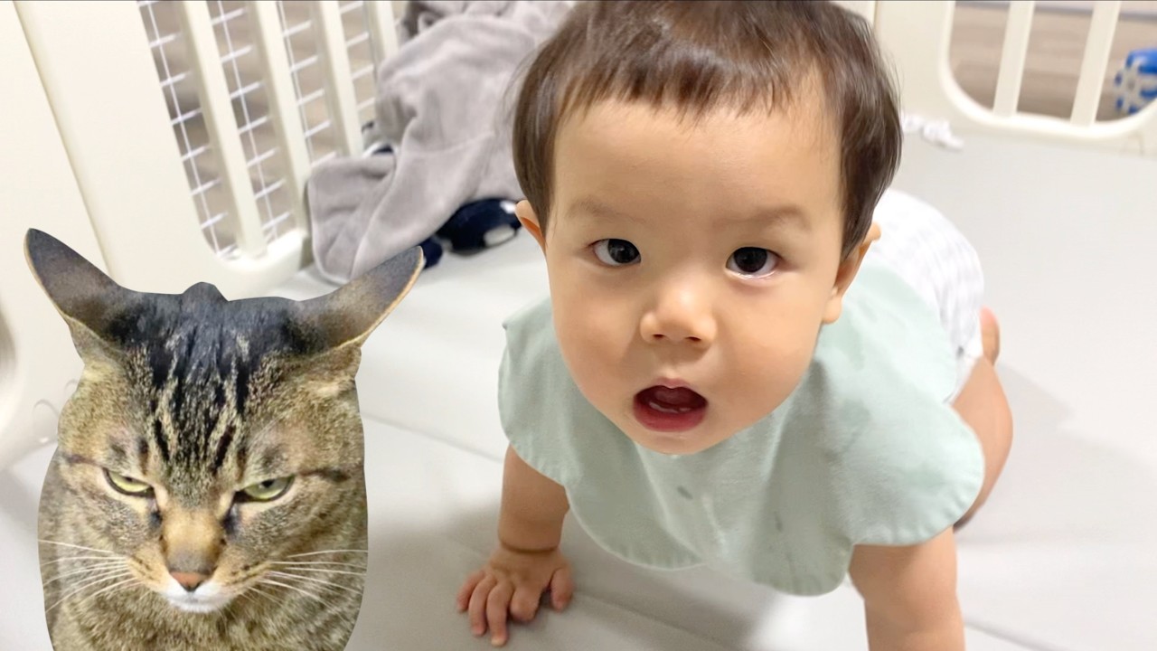 必死に「パパ」と連呼する１歳になったベビ...
