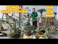 NHẬT TRUYỀN | #0939046405 | GIÁ RẤT DỄ CHƠI LÔ MAI CHIẾU THỦY ĐẸP GIÀ NU CỔ NHIỀU DÁNG THẾ. XIN MỜI.