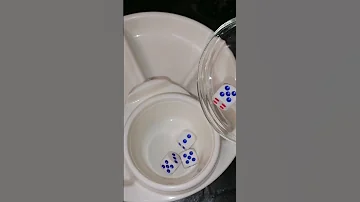ASMR Dropping Dice Into Platter Sound Effect Satisfying Sound Effect Asmr Shorts 