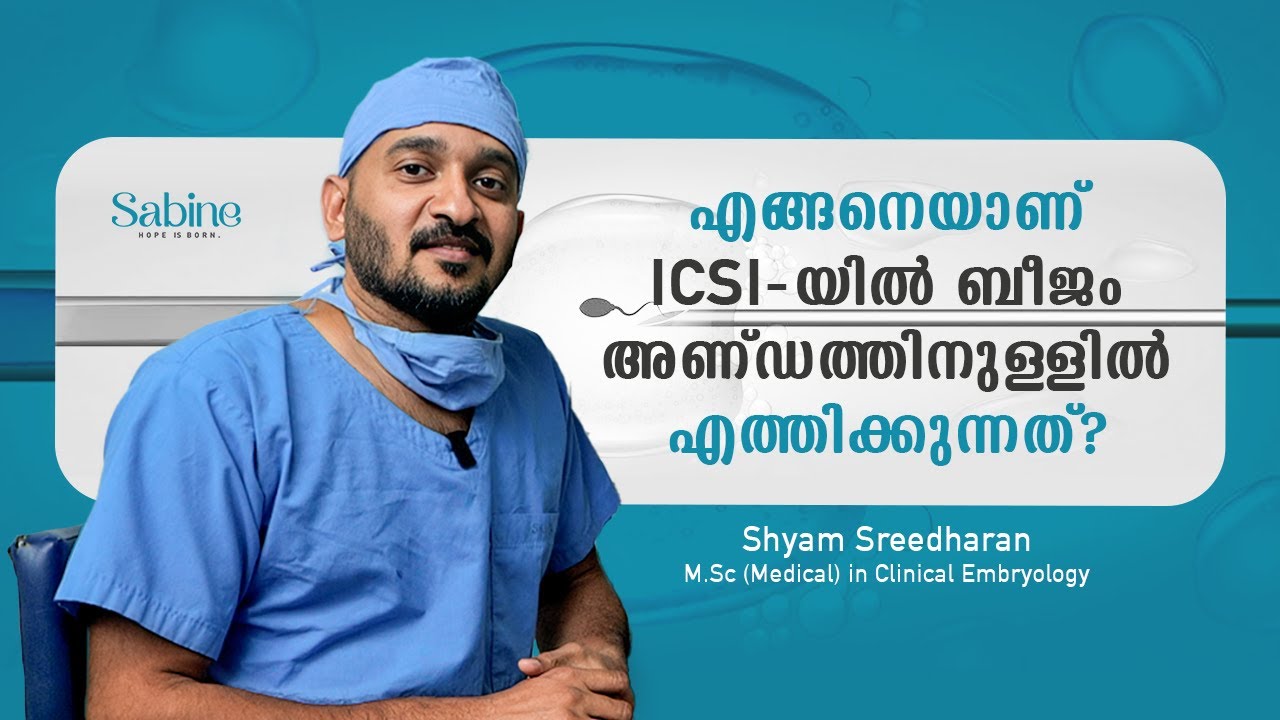 What is IVF?  | Step by Step of the IVF Process  |  Sabine Hospital