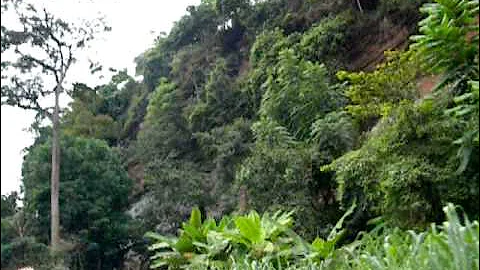 Ghana--Driving up the mountains