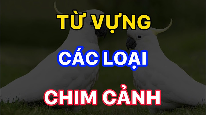 Chim sẻ trong tiếng anh là gì năm 2024