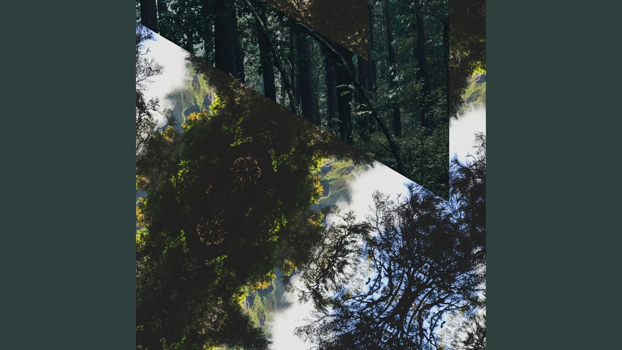 all I ever asked for