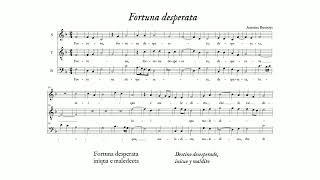 Antoine Busnois: Fortuna desperata (The Clerks' Group, Edward Wickham)