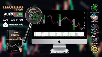 Hachiko Indicator- The Smartest Indicator with Auto SL and TP/LIVE CHART.