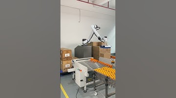 palletizer！#cobot #robot #palletizer