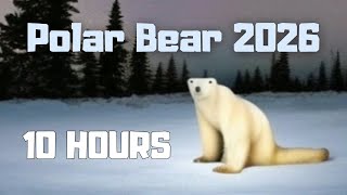 Polar Bear 2026 10 Hours
