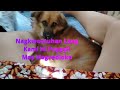 EPISODE10047 Nagkwentuhan Lang Kami Ni Puppy Habang May Pinakikinggan Kami May Nagvedioke 