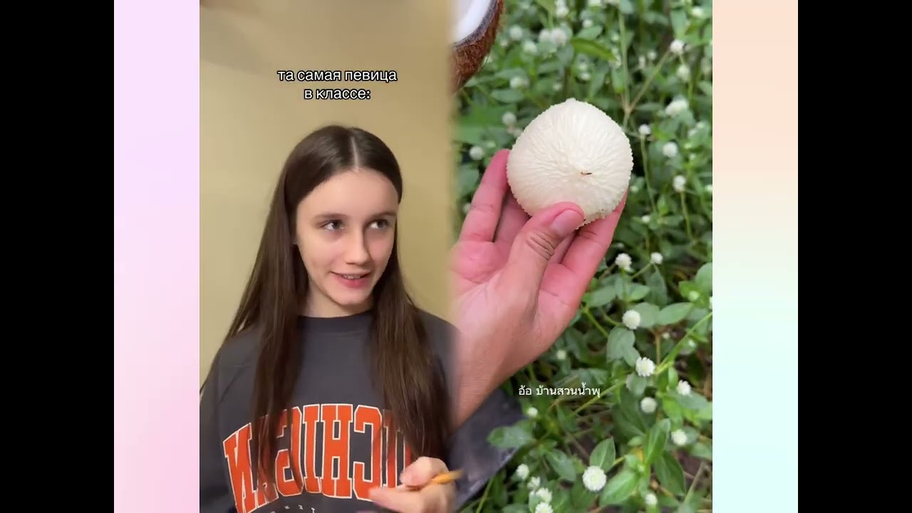 🤣👌👌👌2026 pov Must-Watch Crazy Clips Compilation #humor #fypシ #pov #fyp #foryou #funny 😍😜