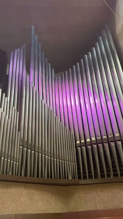 #organ #disco #lights #action #adventure #thrills #thrill #awesome #fusion #culture #organist #life