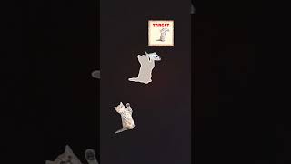 🐱 Tap to Stop Challenge 😱 Perfect Timing Game | Cat Jump Game #shorts