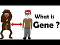 What is a gene 