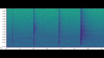 Right Whale "Gunshot" Series With Spectrogram