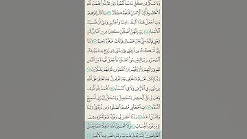 #قرآن #تلاوة_خاشعة #القرآن_الكريم #آيات #الله #اسلام #quran #islam #islamicvideo #tilawat #allah