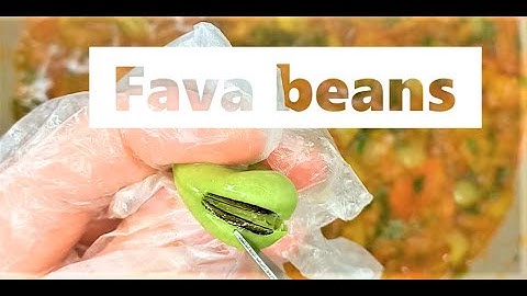 Quick Fresh Fava Beans Recipe (#favabeansrecipe  #EasyVeganRecipe  #howtocookfavabeans #FavaBeans )