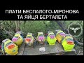 ЯЙЦА И ЭЛЕКТРОННЫЕ ПЛАТЫ