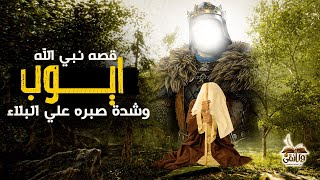 ( الحلقة الثالثة عشر ) .. قصة سيدنا ايوب عليه السلام