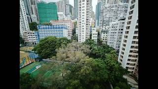 #77273 | 38 Tai Ping Shan Street | View Villa | 2BR | Net 396'