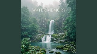 Water Memory