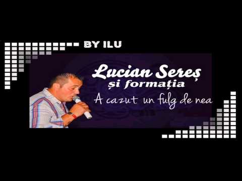 Lucian Seres - A cazut un fulg de nea LIVE ( 2014 )