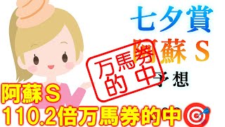 【競馬】七夕賞 阿蘇ステークス 2025 予想 (函館11Rの巴賞はブログで)