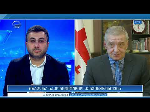 მზადება საკონსტიტუციო კენჭისყრისთვის   გიორგი ვოლსკი დღის ქრონიკაში