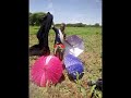 MAYIKUHEMBO UJUMBE WA PAWA MWANA GUTA 16 10 2024 0752622552 Msambazaji BALESA MAYIKUHEMBO UJUMBE WA PAWA MWANA GUTA 16 10 2024 0752622552 Msambazaji BALESA