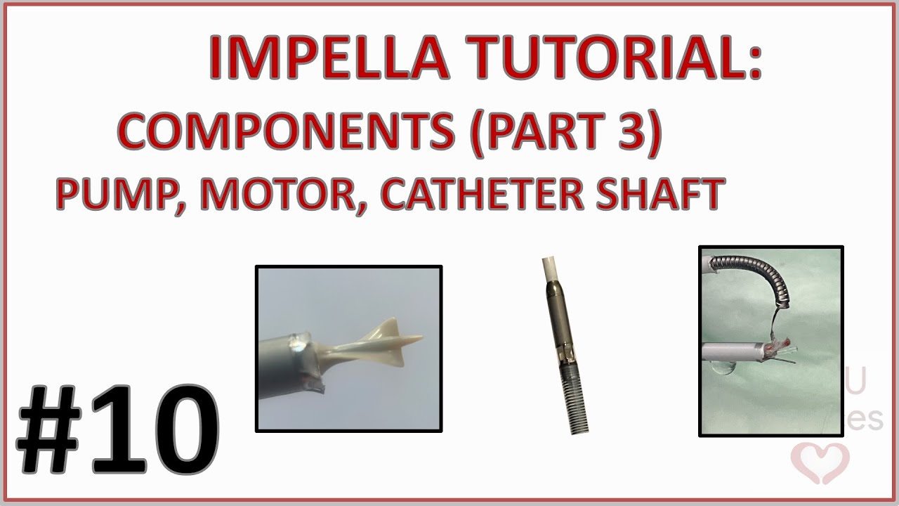IMPELLA CP COMPONENTS PART 3 - PUMP, MOTOR & CATHETER SHAFT (IMPELLA GUIDE 010)