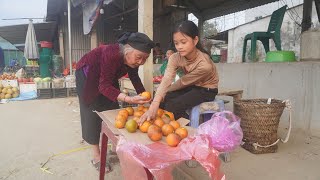 Harvest oranges and green vegetables to sell at the market - Poor girl daily life